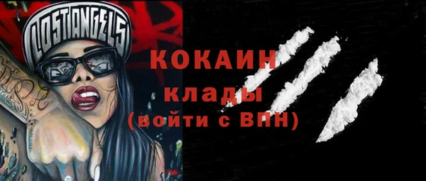 крисы Богородицк