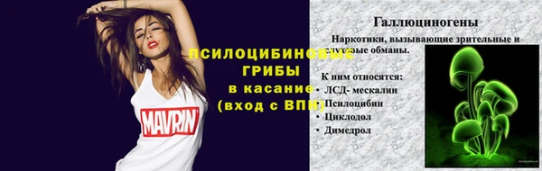 каннабис Богданович