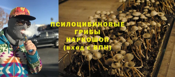 каннабис Богданович
