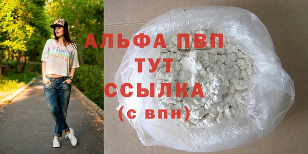 крисы Богородицк