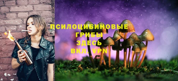 каннабис Богданович