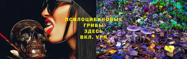 каннабис Богданович