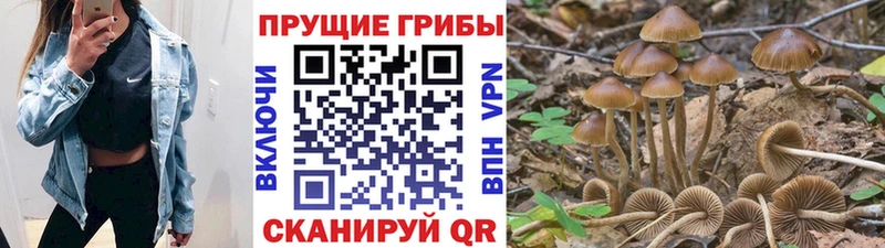 Псилоцибиновые грибы мухоморы Белокуриха